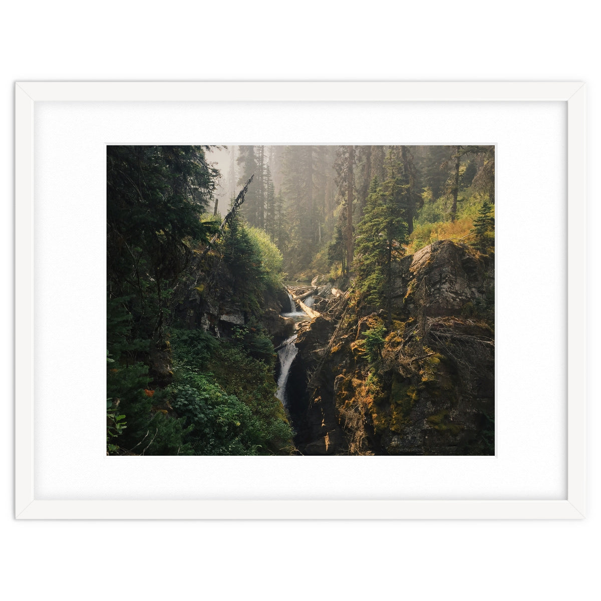 Glacier National Park I