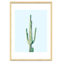 Loner Cactus