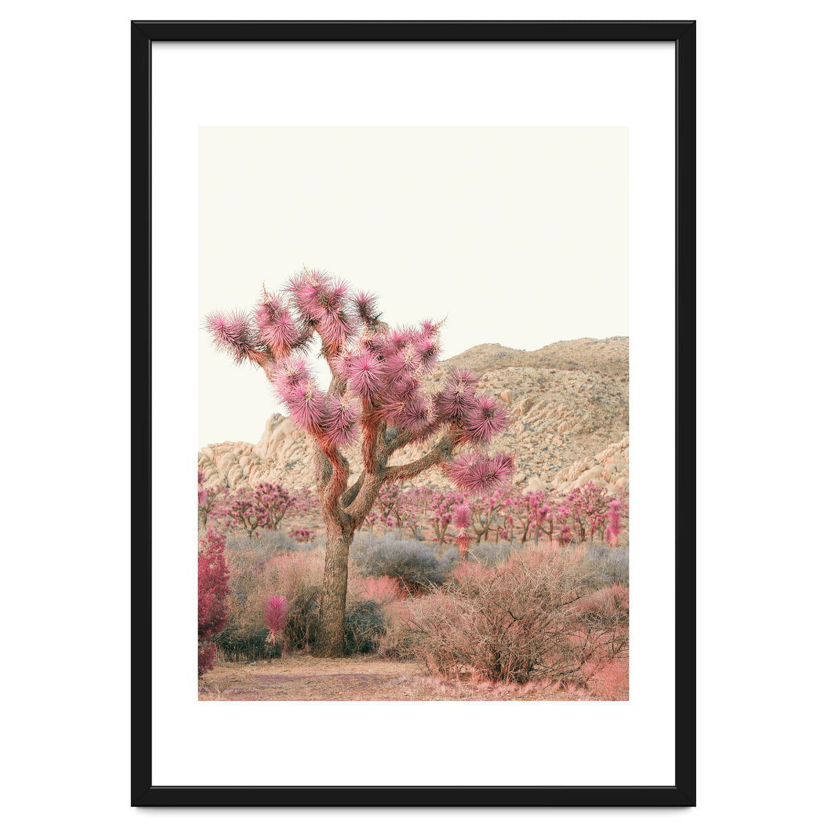 Boho Joshua Tree Cactus