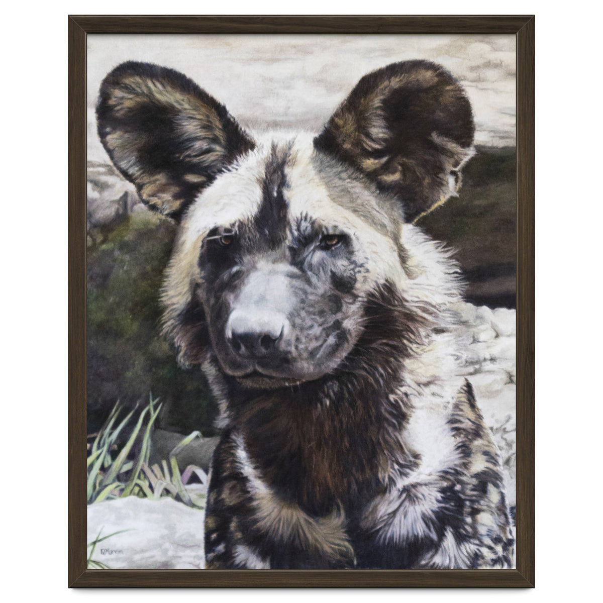 African Painted Dog II