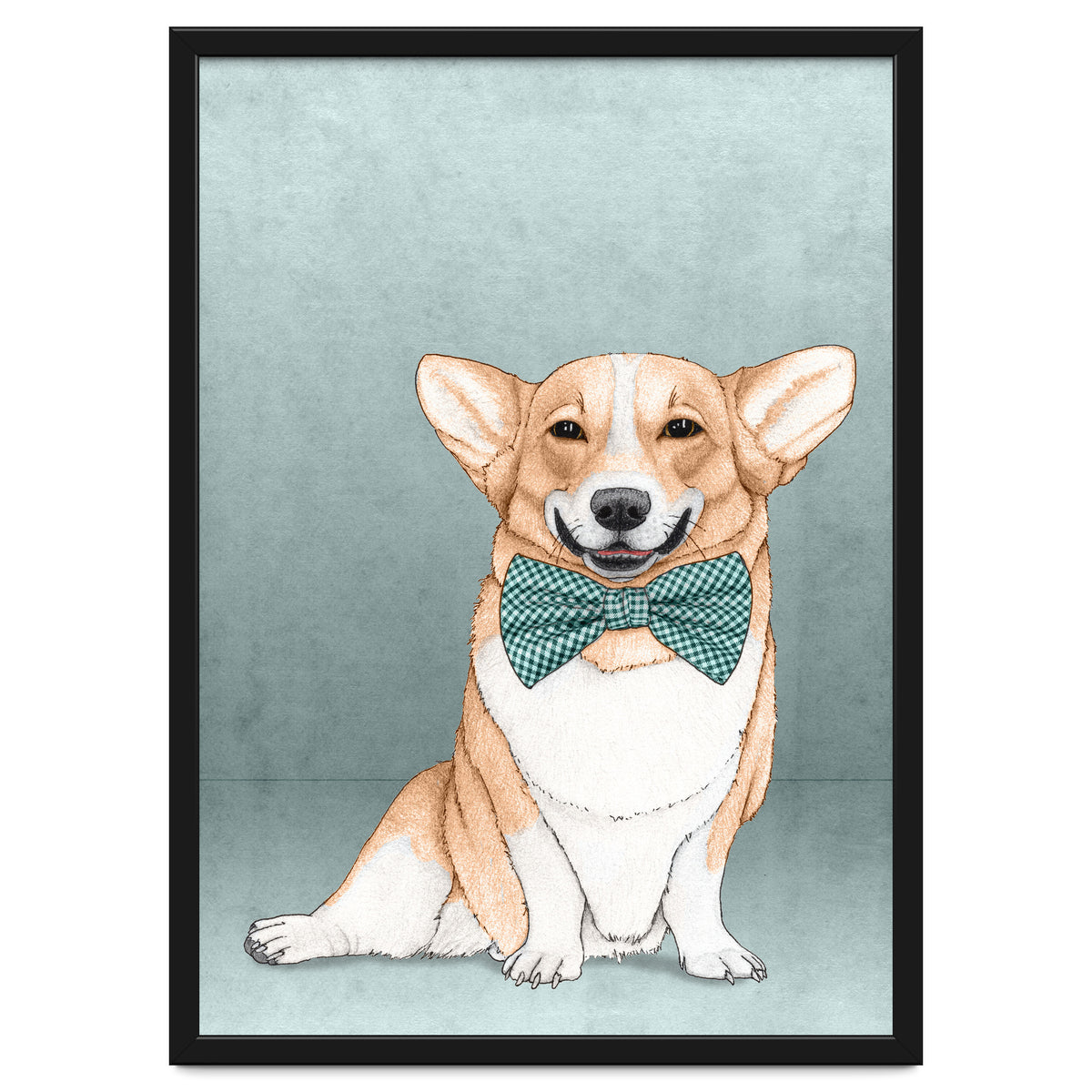 Corgi Dog