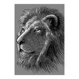 Sketch Lion (Print Only) thumbnail