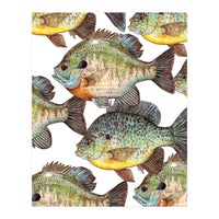 Lake Sunfish (Print Only)
