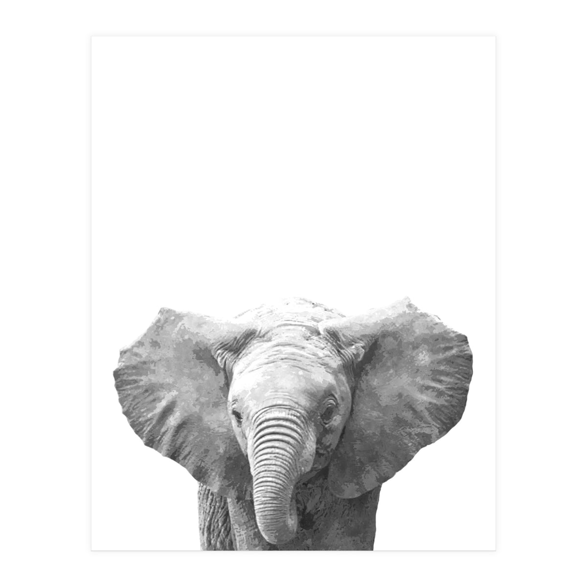 Black and White Baby Elephant  (Print Only)