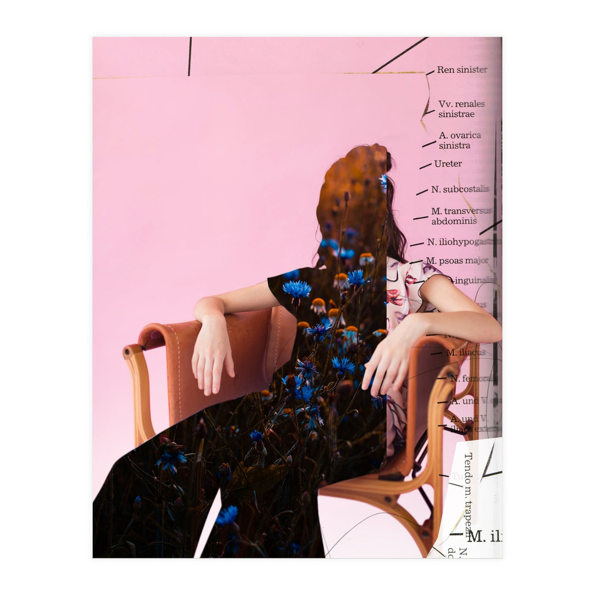 Crazy Woman 207 (Print Only)