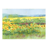 Sunflowers field  (Print Only) thumbnail