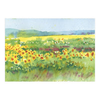 Sunflowers field  (Print Only)