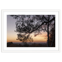 Sunset on Finchampstead Ridges - Berkshire