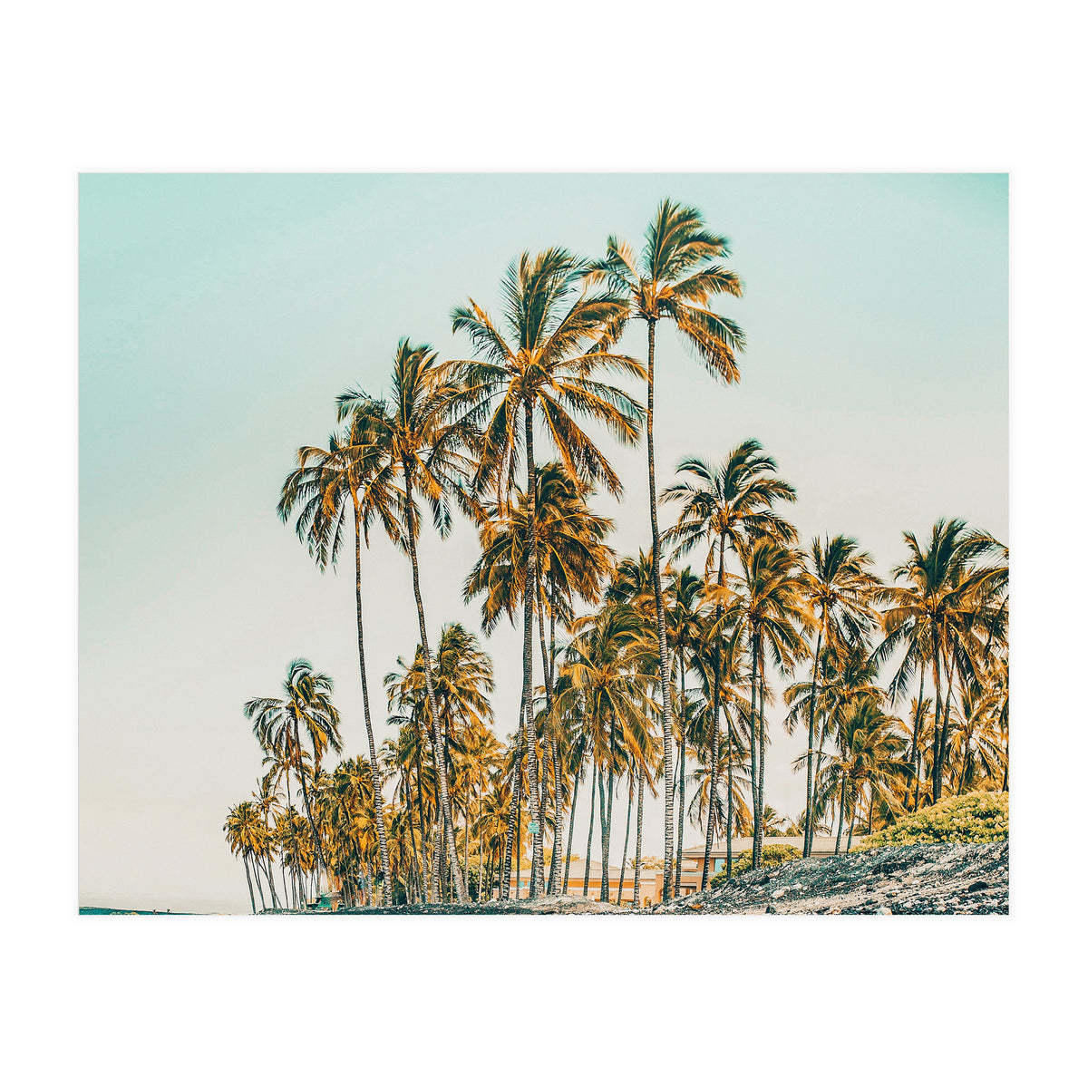 Island Life III (Print Only)