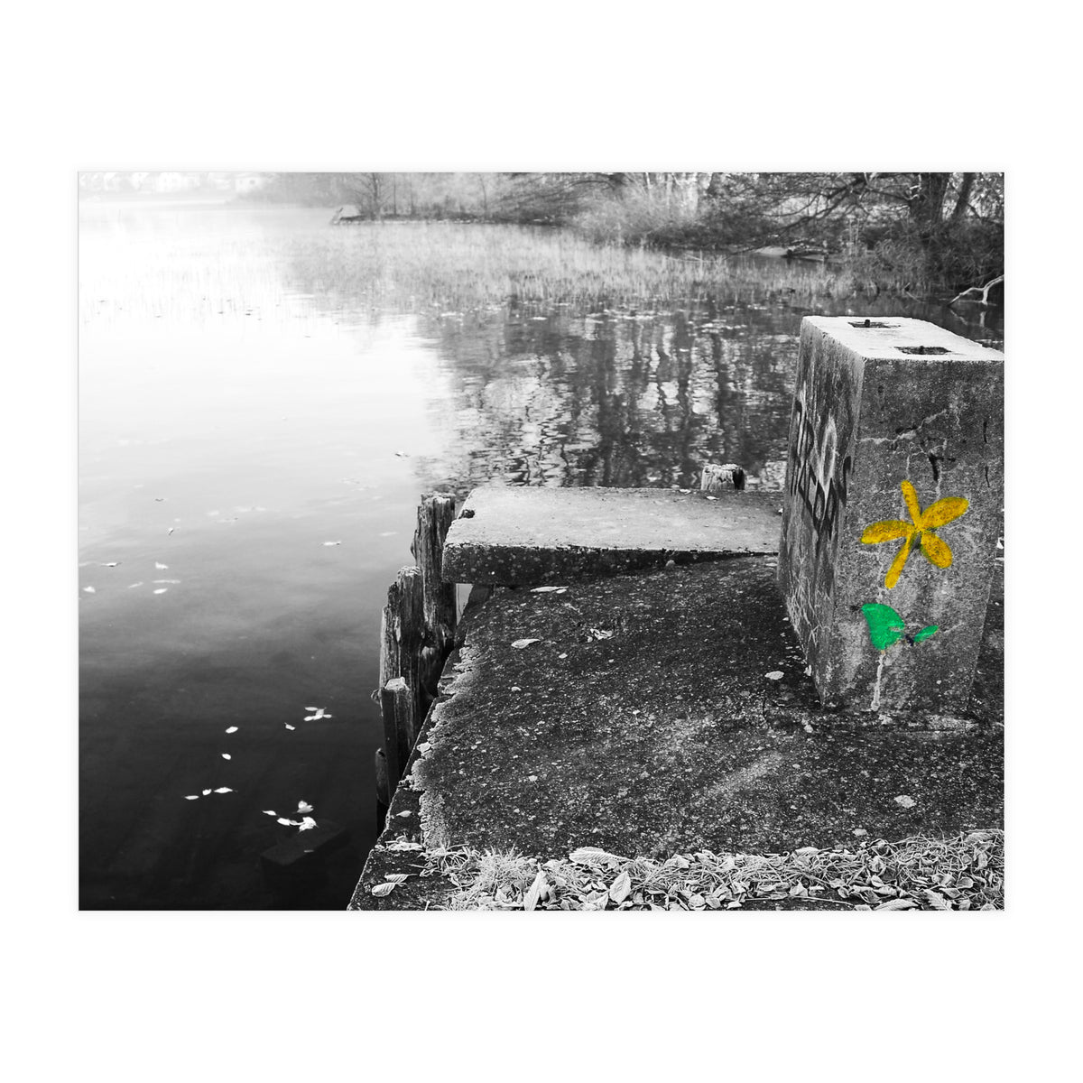 Frozen Ground Yellow Flower Street Art (Print Only)