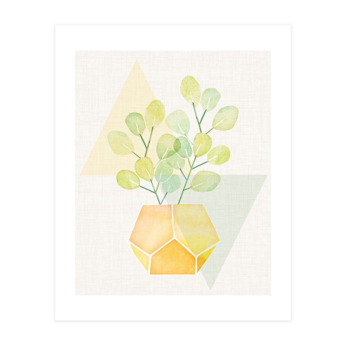 Geometry and House Plant (Print Only)