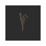 Moody Golden Botanicals - Square (Print Only) thumbnail