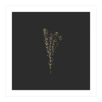 Moody Golden Botanicals - Square (Print Only)