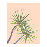 Tropical Serenity | Botanical Nature Plants | Boho Jungle Floral Garden | Watercolor Palm Painting (Print Only) thumbnail