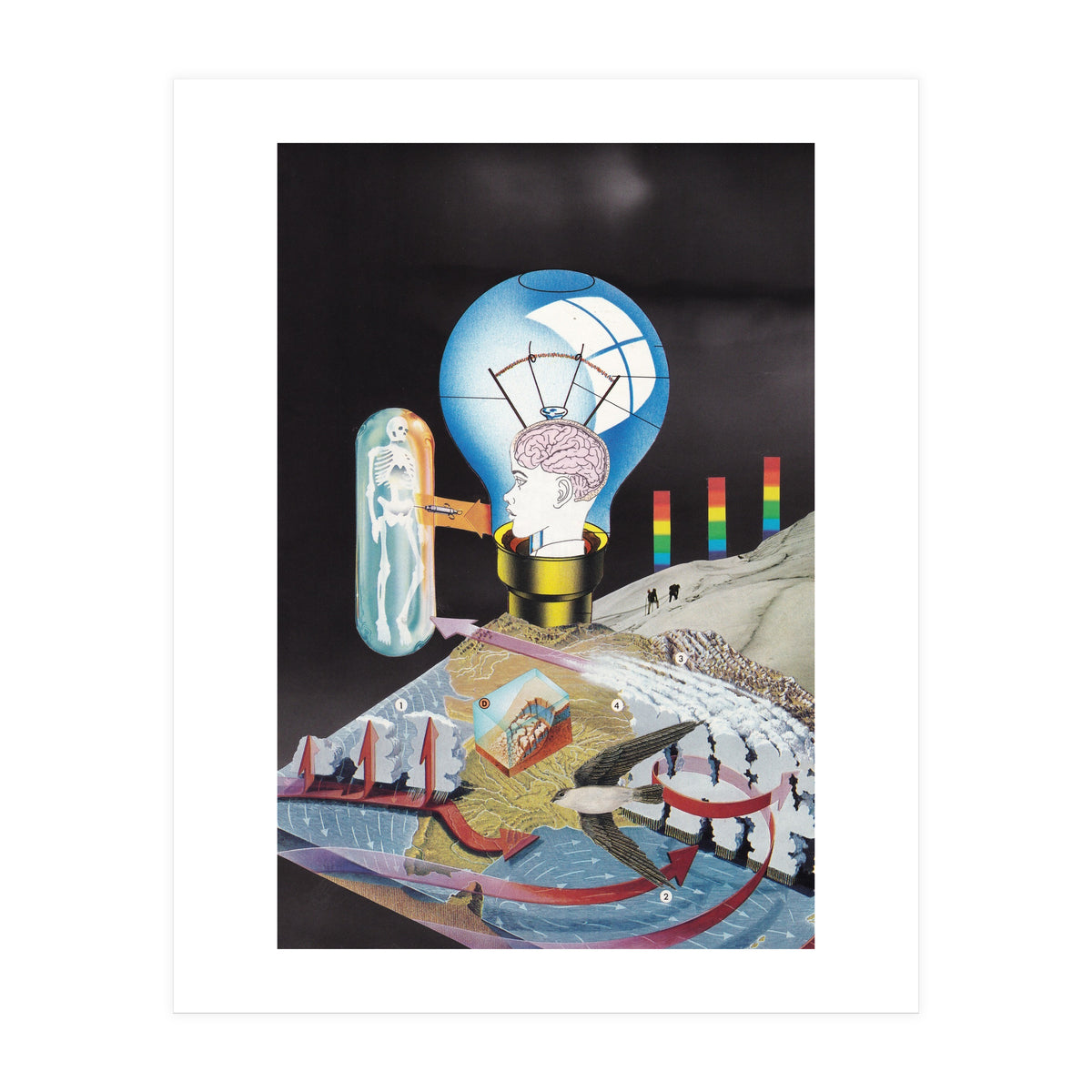 Drug (Print Only)