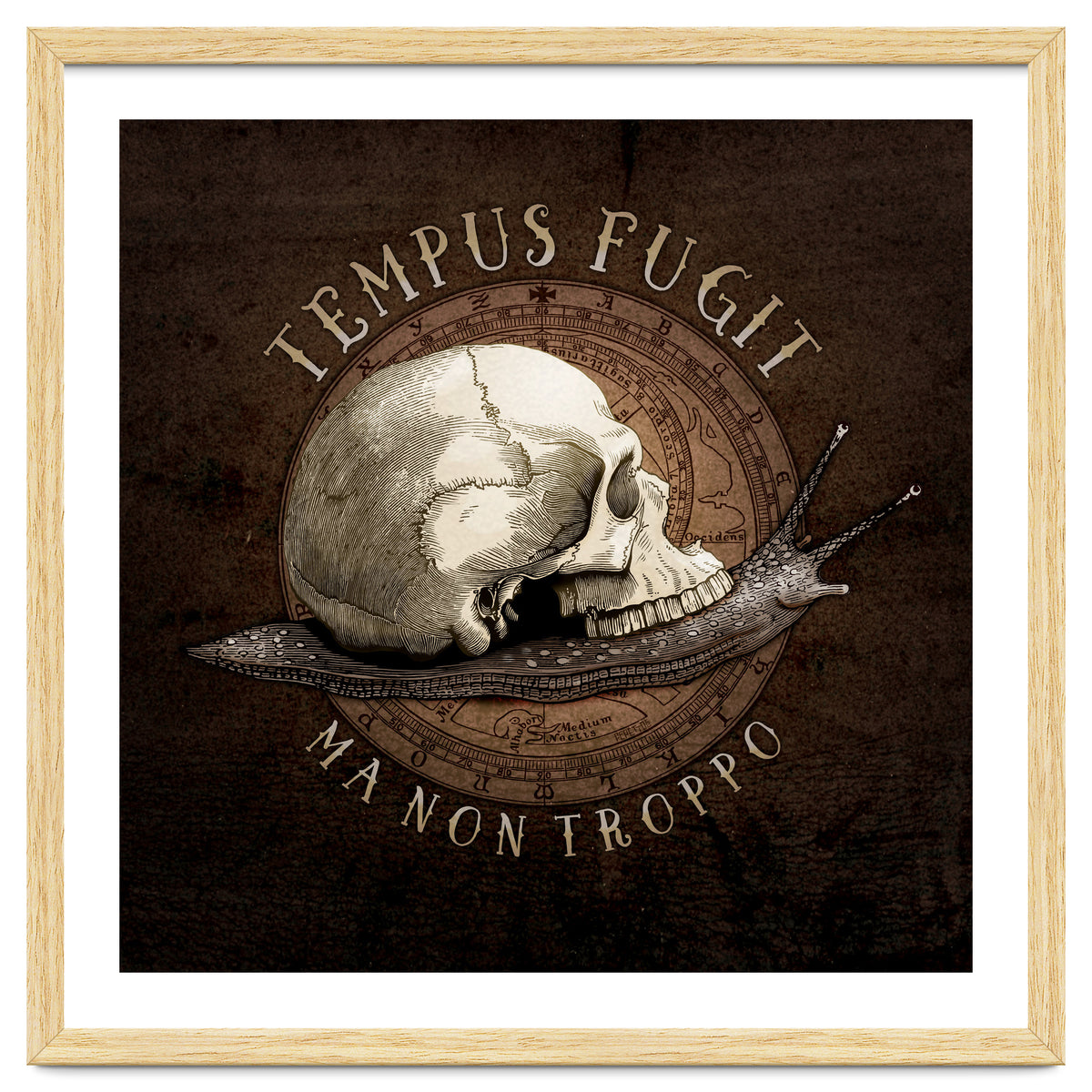 Tempus Fugit (ma non troppo)