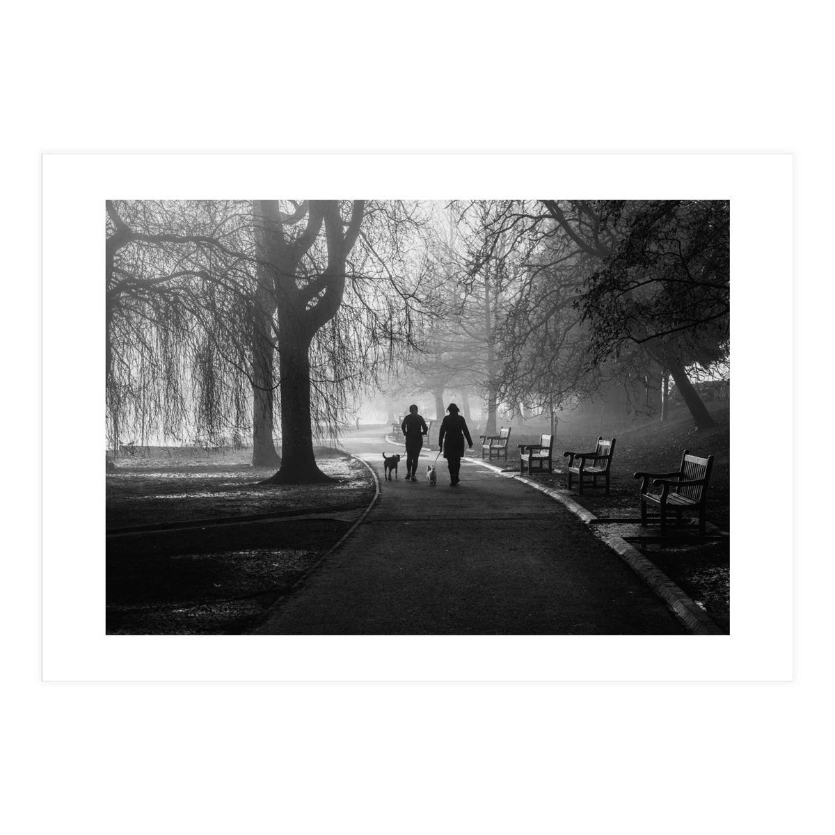 Misty Morning (Print Only)