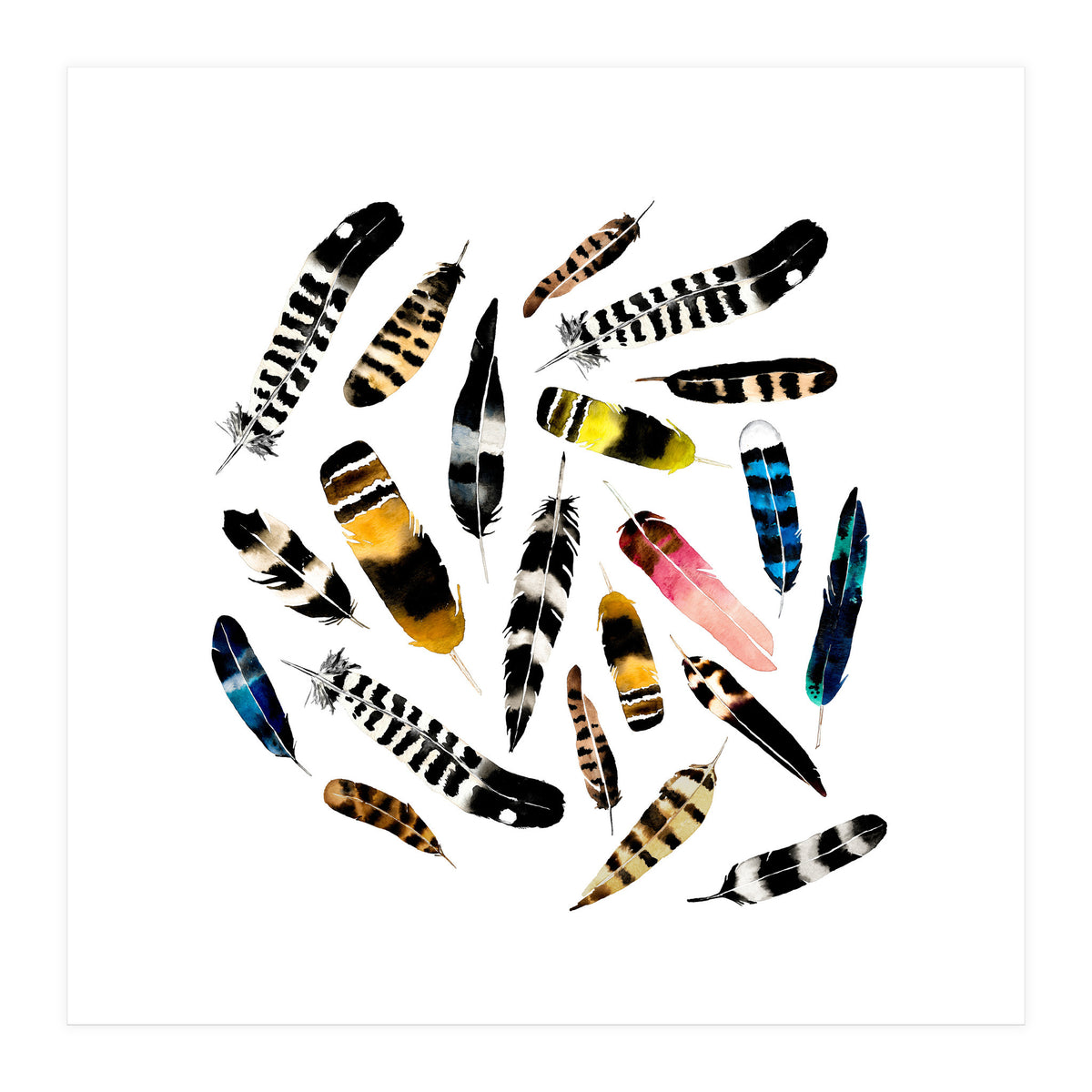 Feather Fusion  (Print Only)