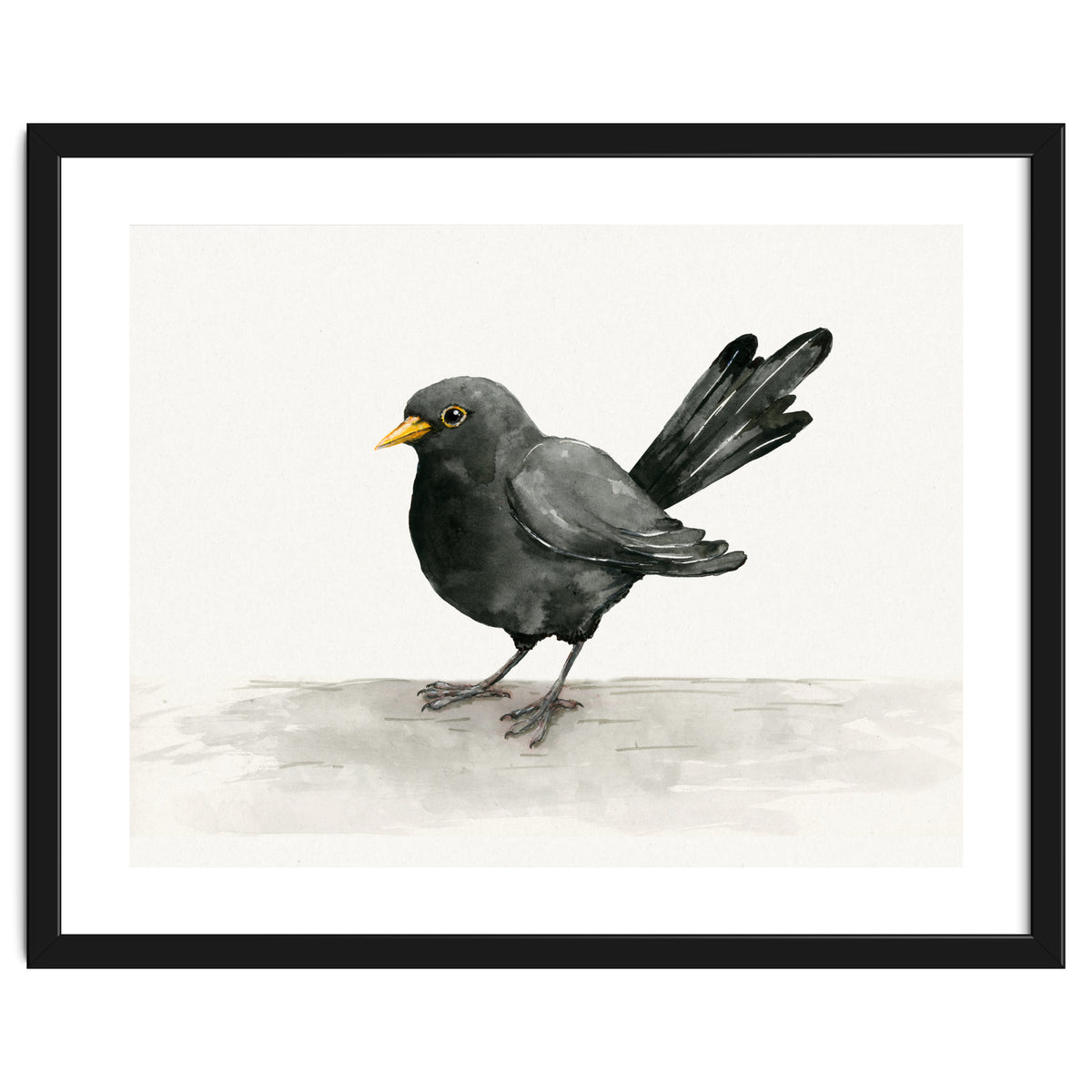 Blackbird ink drawing
