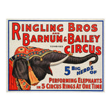 Ringling Bros & Barnum Bailey Circus Advertisement (Print Only) thumbnail