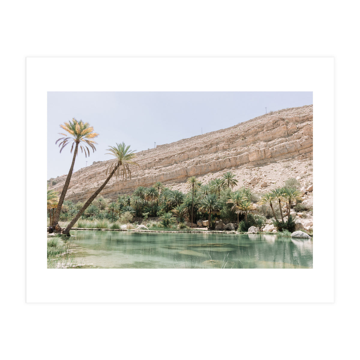 Tropical Oasis (Print Only)