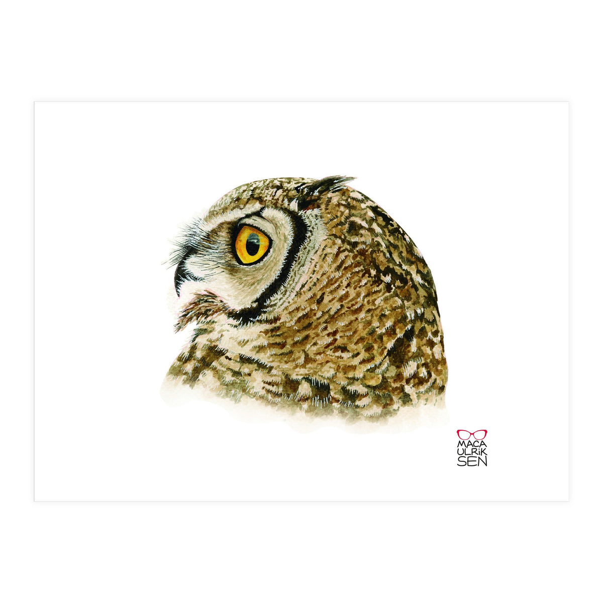 Lesser horned owl  (Print Only)