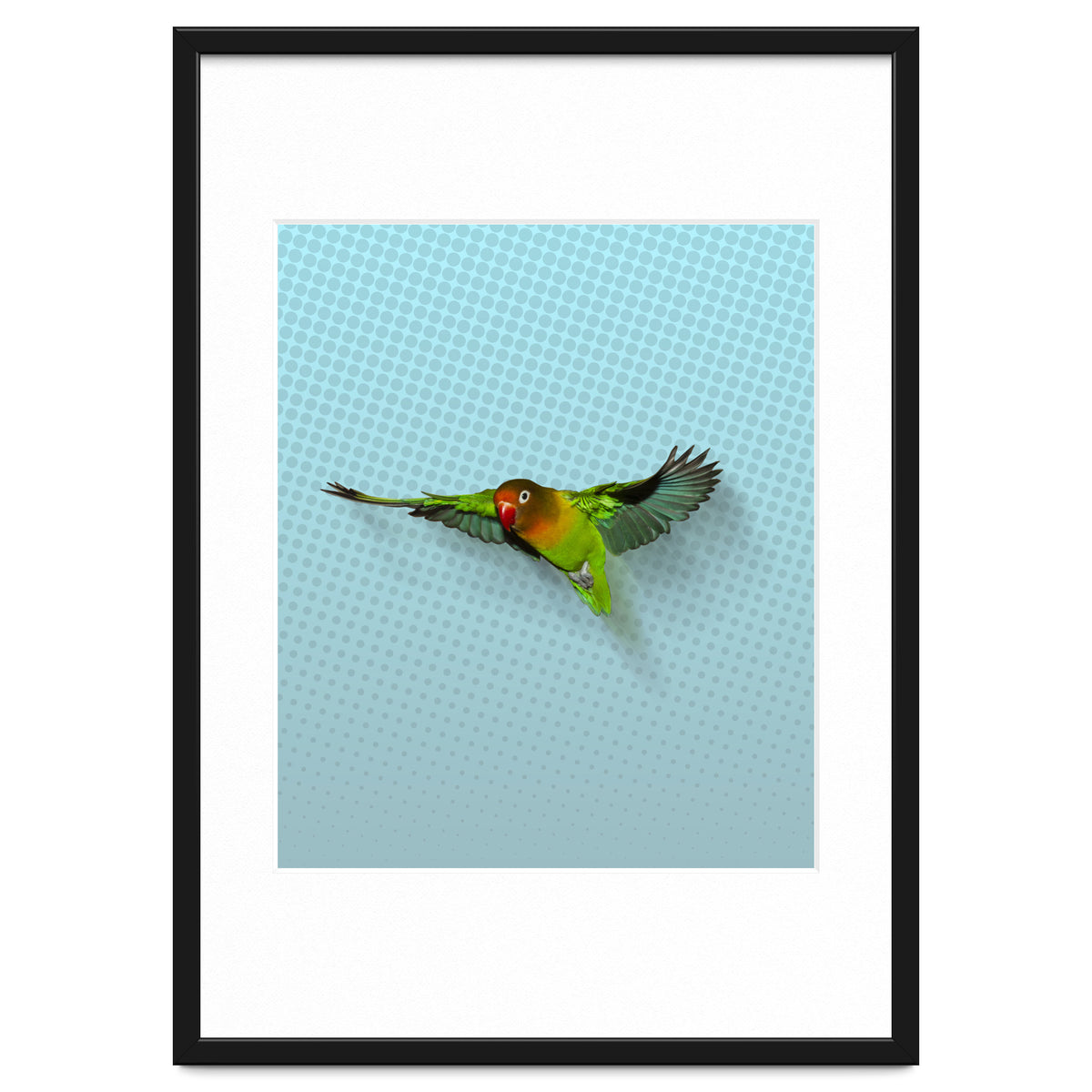 Flying lovebird