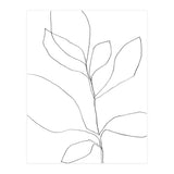 Seven Leaf Plant (Print Only) thumbnail
