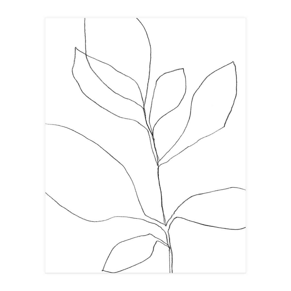 Seven Leaf Plant (Print Only)