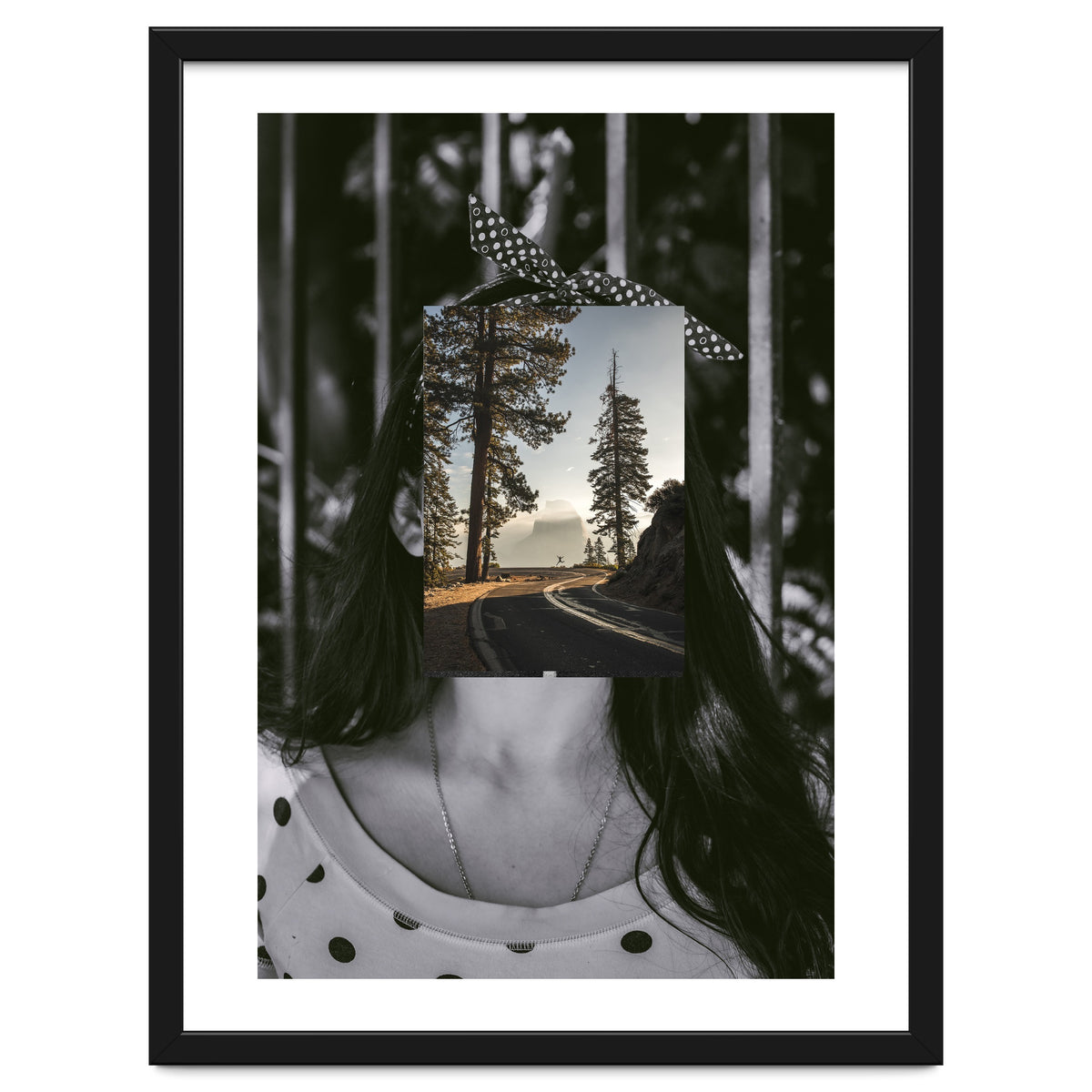 Silva Where Are You?