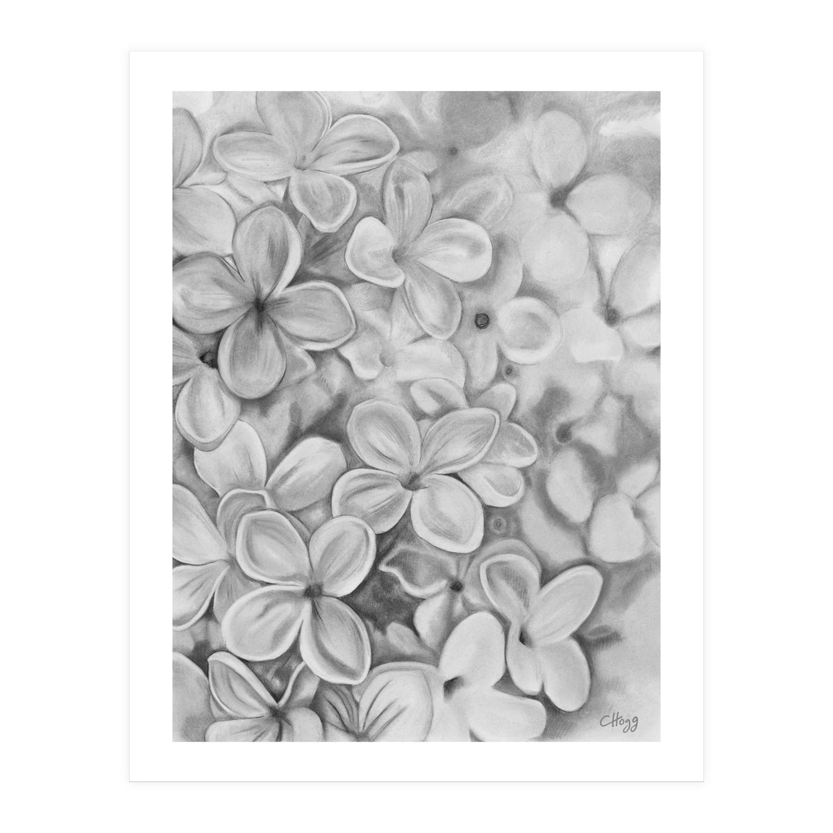 The Essence Of Spring in Monochrome (Print Only)
