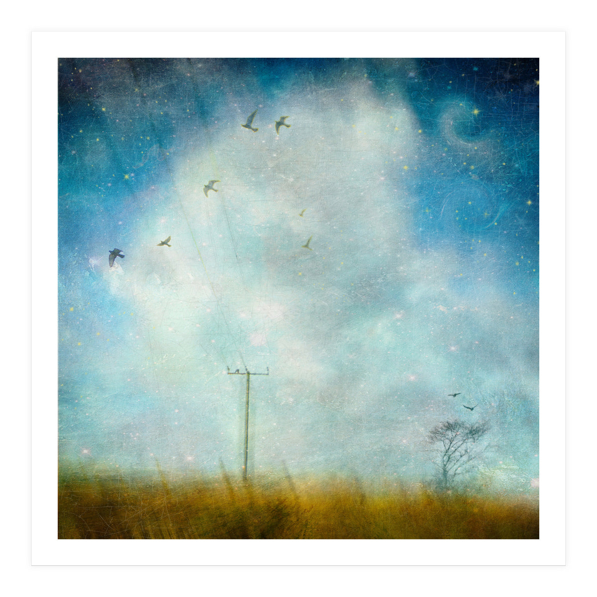 Silence, Shattered (Print Only)