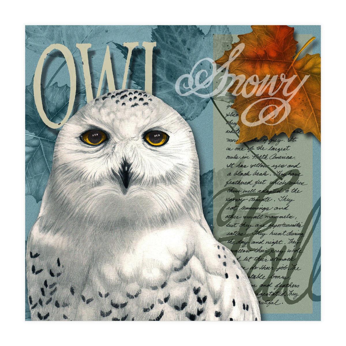 Snow Owl (Print Only)