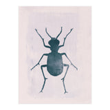 Beetle 1 (Print Only) thumbnail