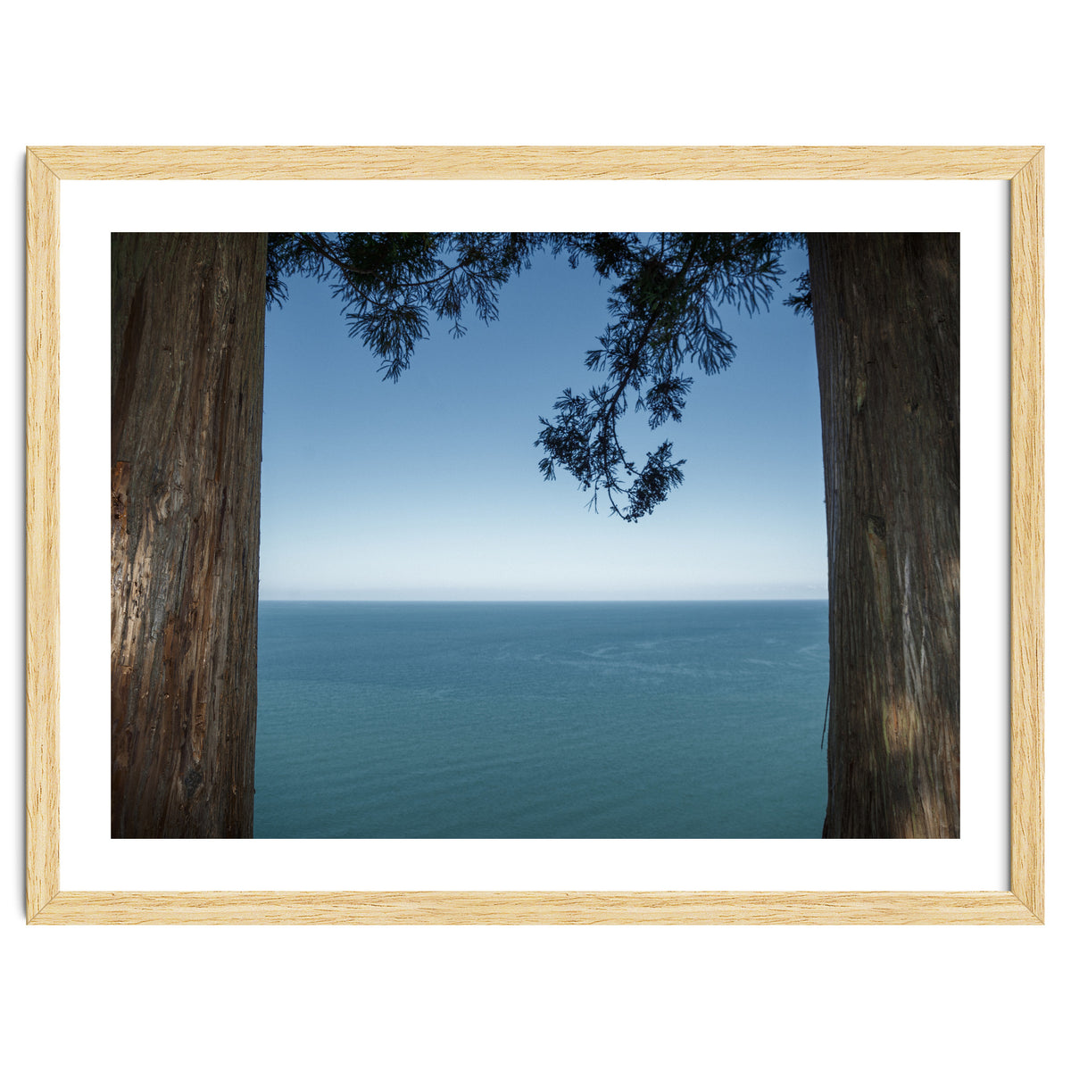 Picture Postcard Perfect