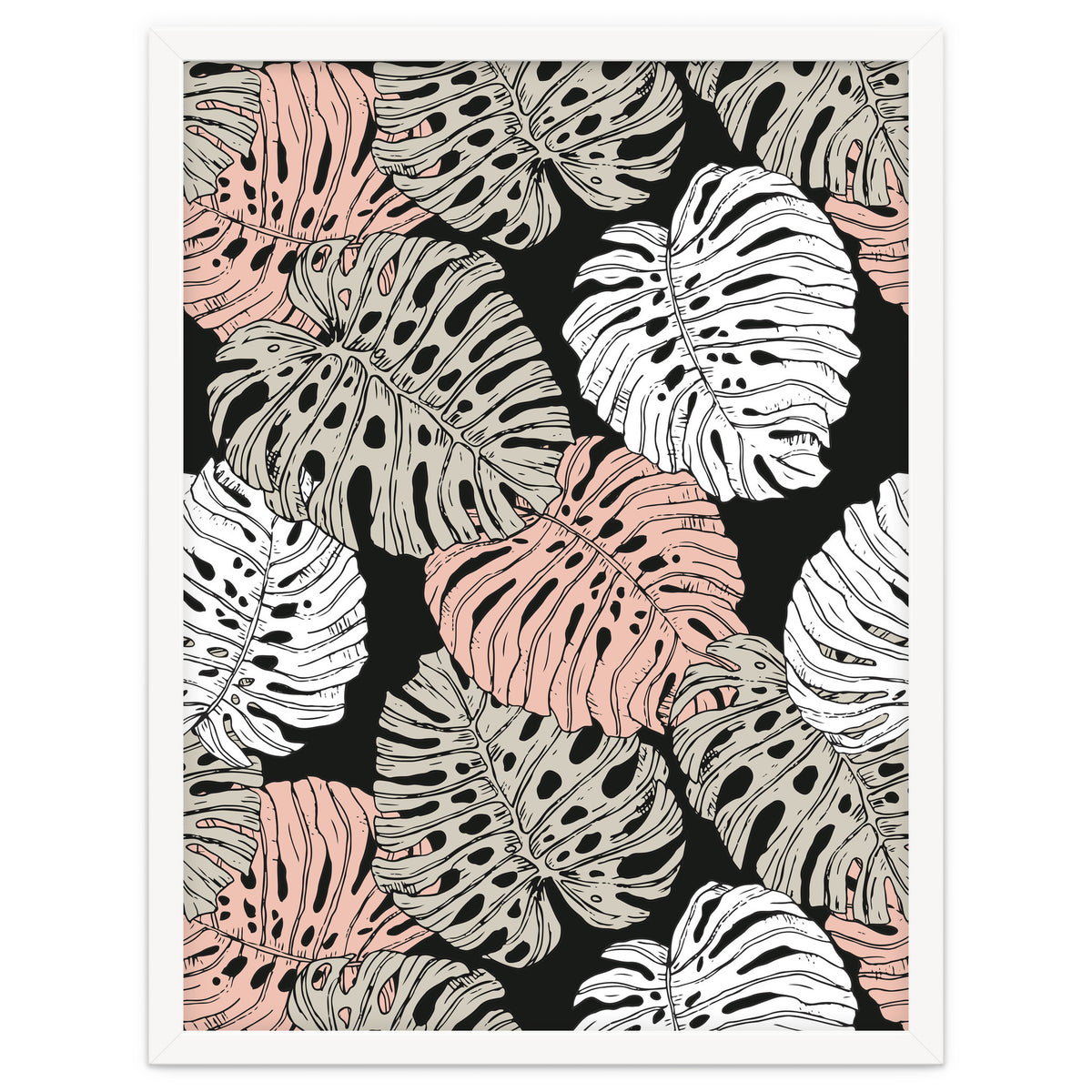 Monstera in the darkness of the jungle