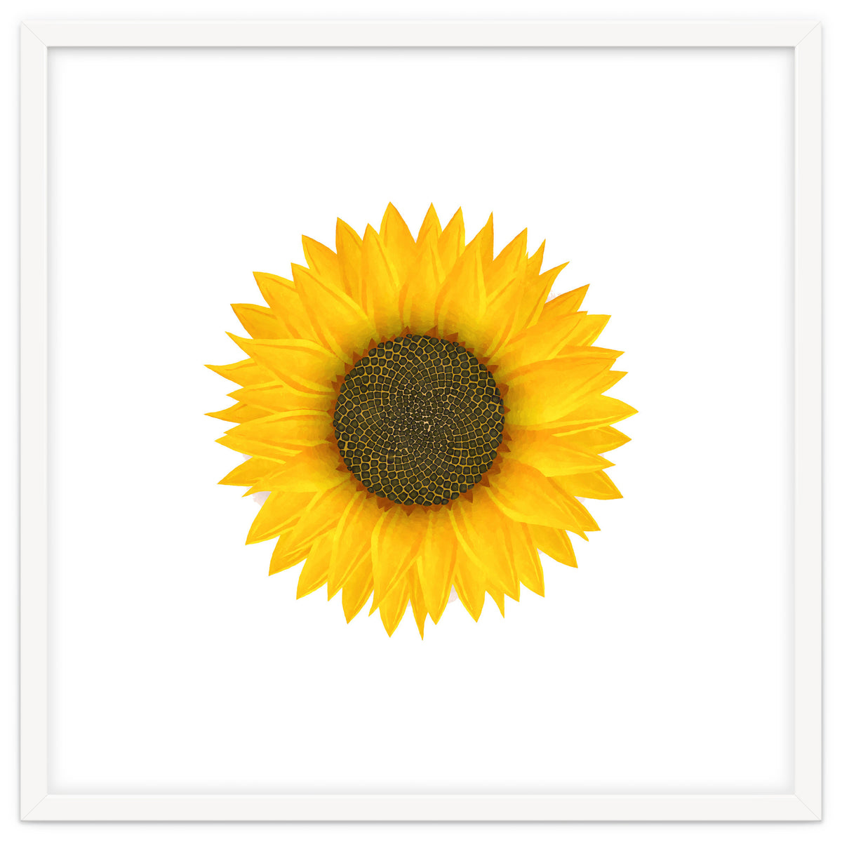 Watercolor Sunflower