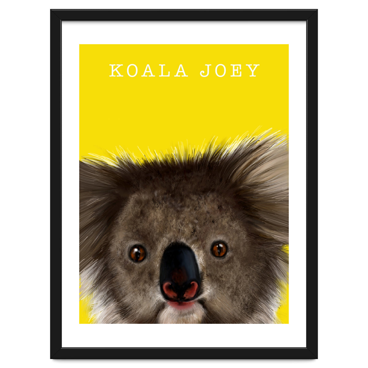 Koala Joey