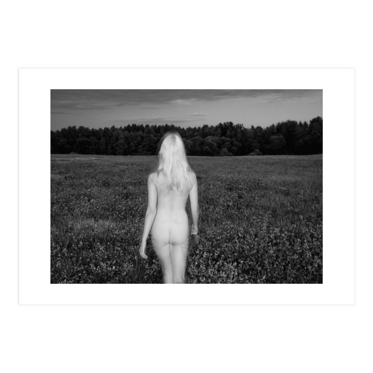 Summer Breeze (Print Only)