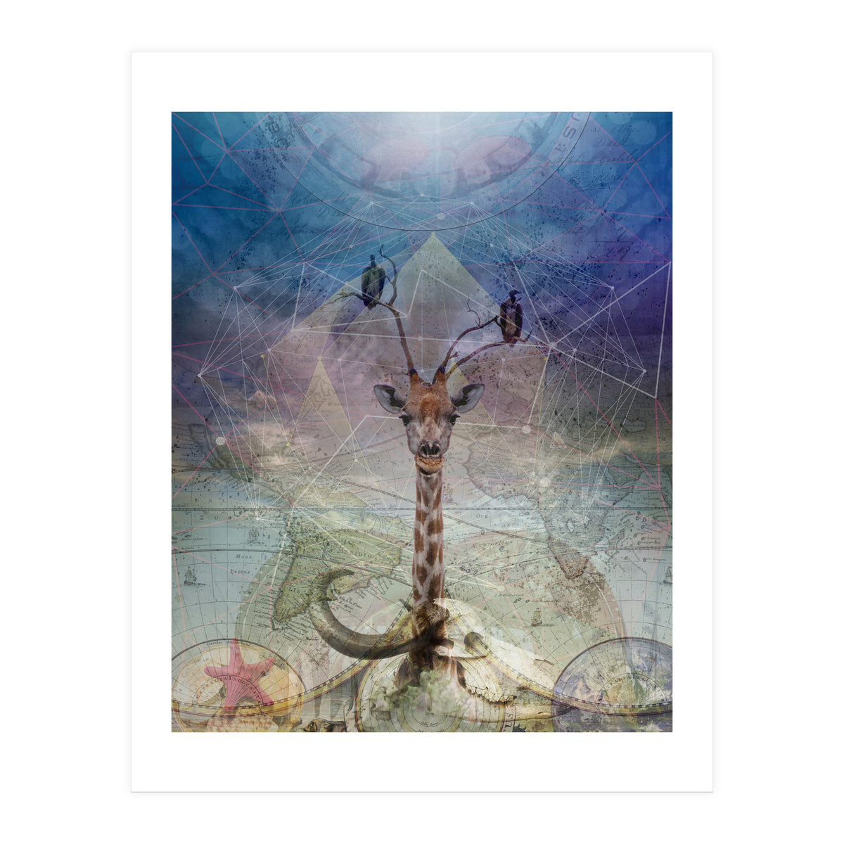 Warning (Print Only)