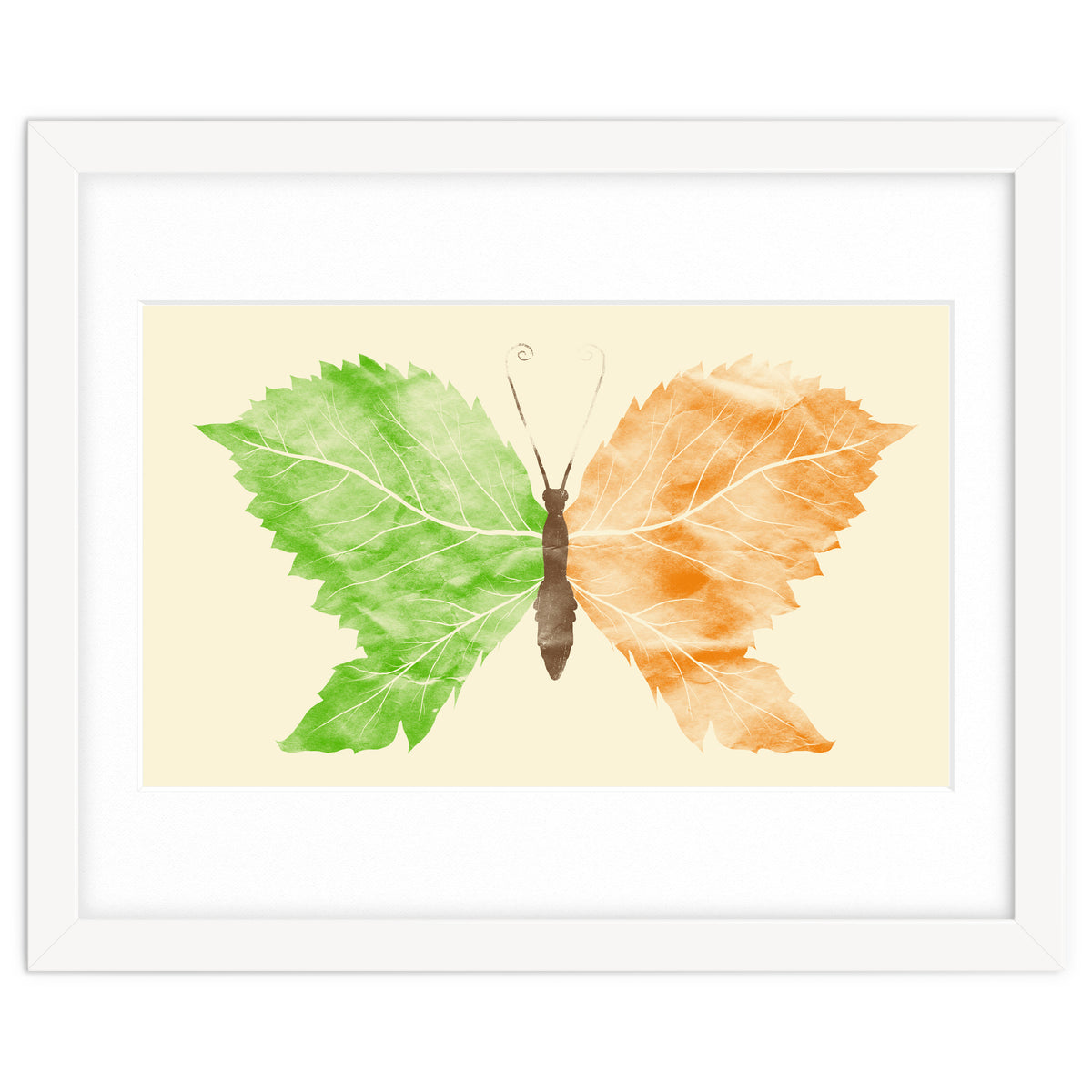 Seasons Change Time Flies