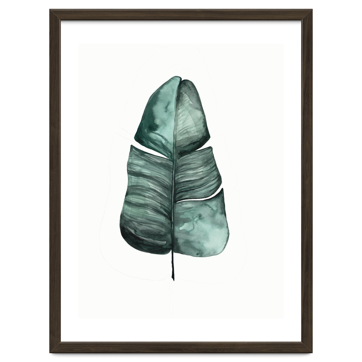 Botanical Illustration Banana Leaf
