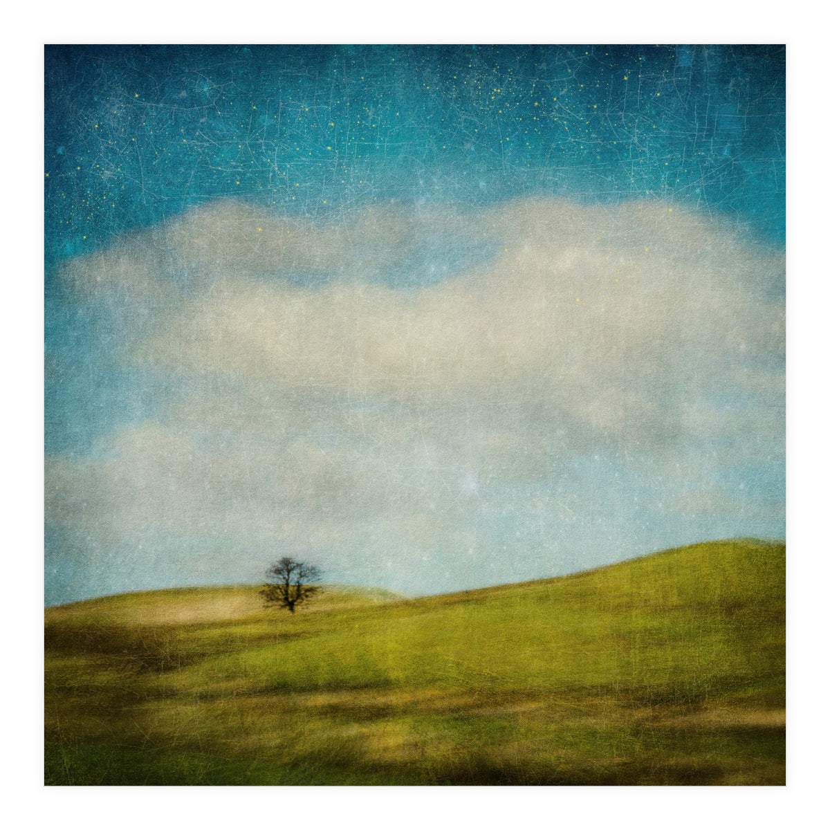 Strange Times (Print Only)