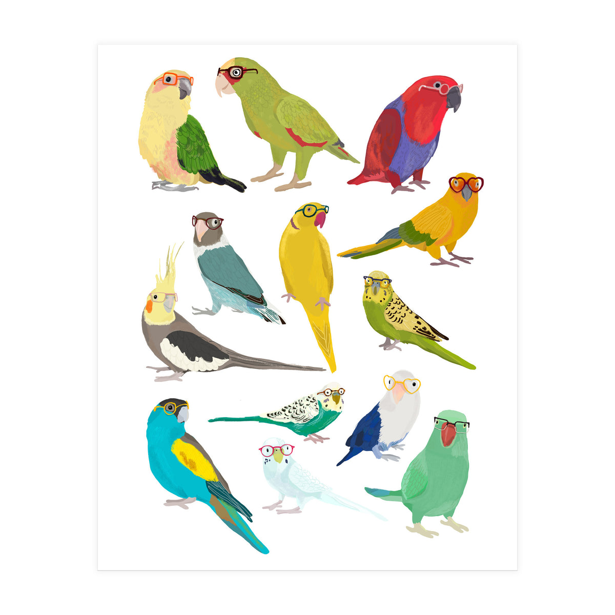 Parrotts in Glasses (Print Only)