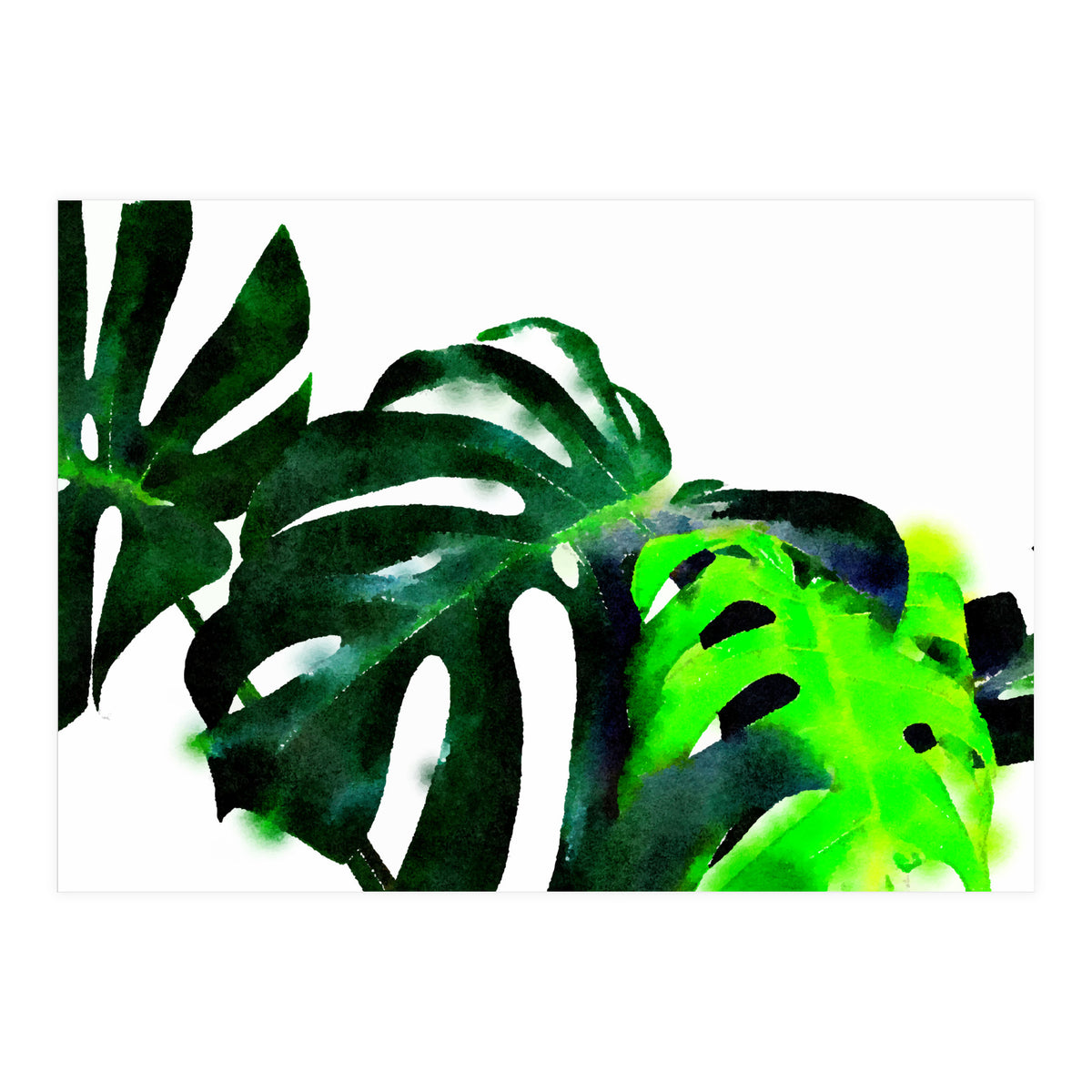 Fresh Leaves (Print Only)