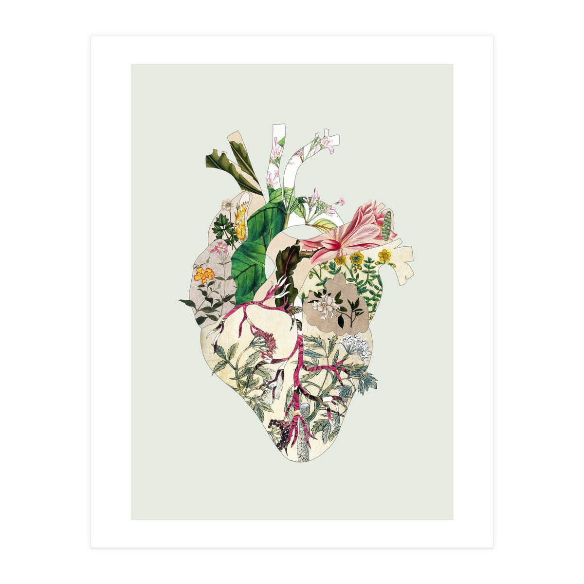 Vintage Botanical Heart - Green (Print Only)