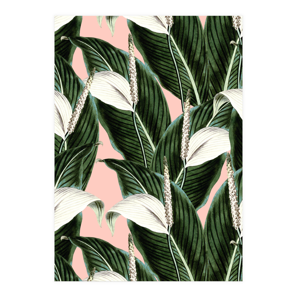 Sweet floral Pothos (Print Only)