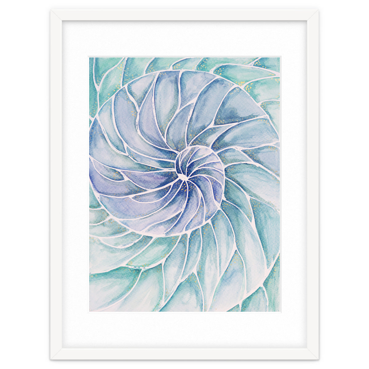 The inside of a shell