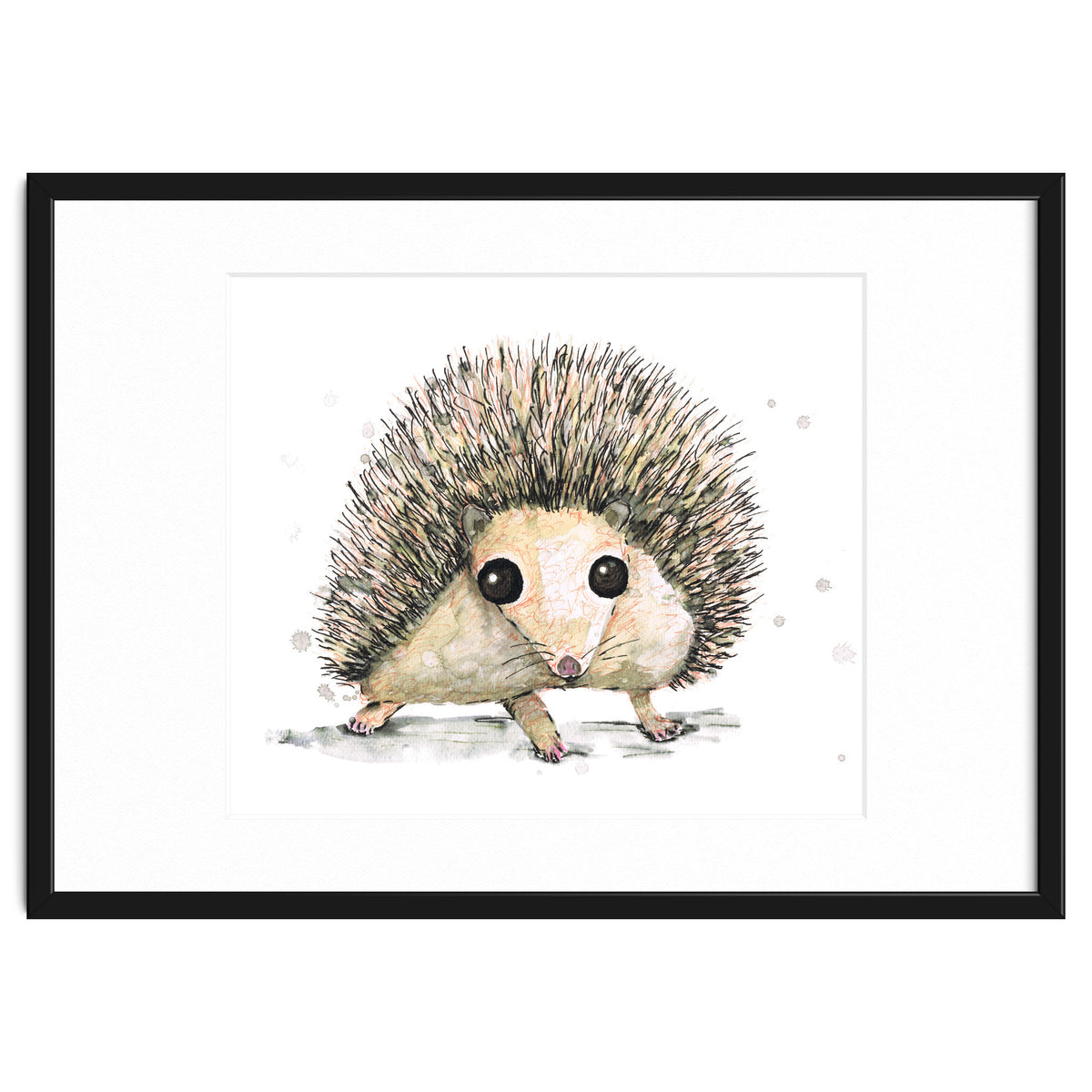 Hedgehog