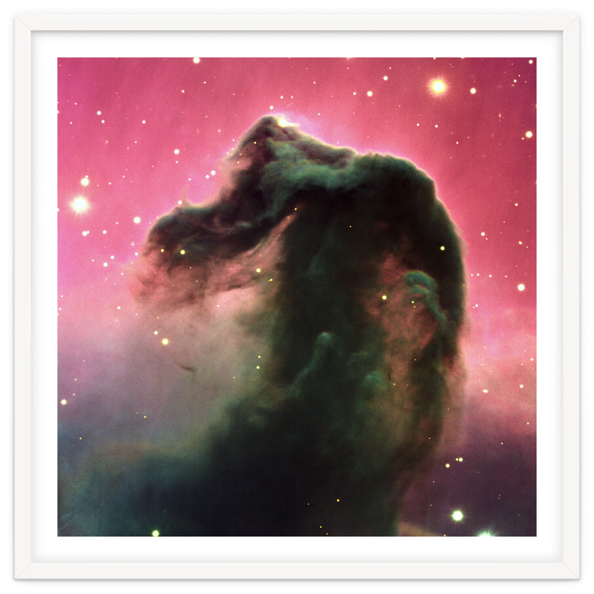 The Horsehead Nebula